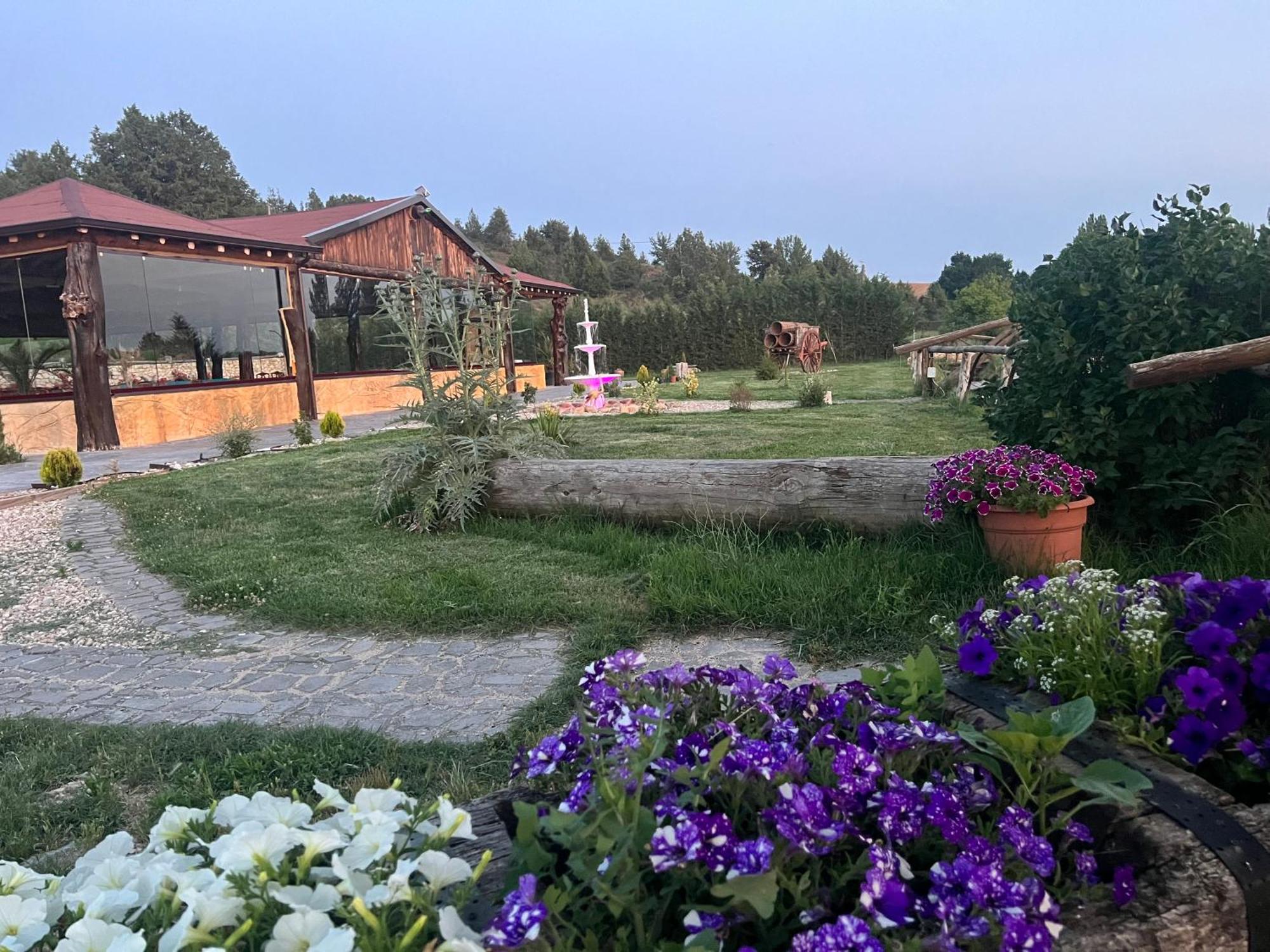 El Burgo De Osma Alojamiento Rural Villa Bagh المظهر الخارجي الصورة