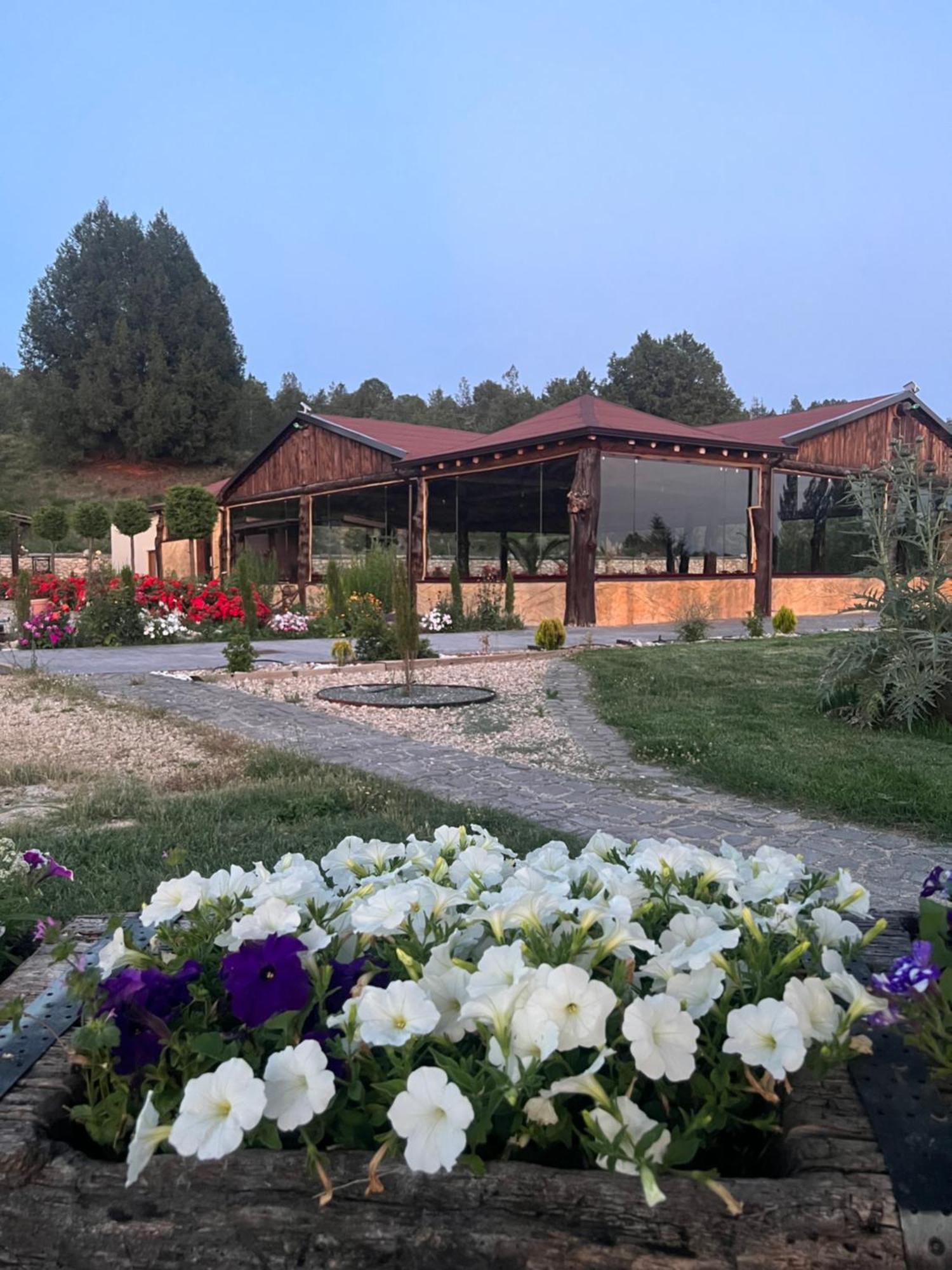 El Burgo De Osma Alojamiento Rural Villa Bagh المظهر الخارجي الصورة